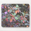 Search for changes mouse mats Leaf