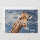 Search for giraffe horizontal note cards Zoo