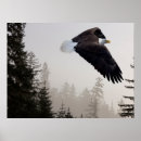 Search for soaring posters Tree