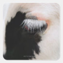 Search for body hair stickers Animal body part