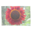 Search for sunflower pillowcases Petals