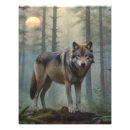 Search for wild wolves posters Forest