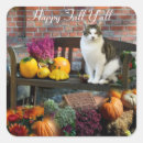 Search for fall cat stickers Pumpkin