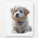 Search for markings mouse mats Pet