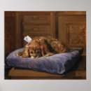 Search for pampering posters Pet