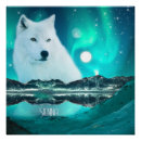 Search for husky posters White siberian husky