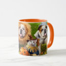 Search for avanti mugs Pets