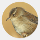 Search for wren stickers Nature