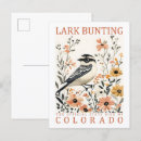 Search for larks postcards Illustration
