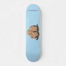 Search for owl skateboards Cute
