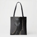 Search for black hole bags Cat