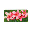 Search for frangipani return address labels Plumeria