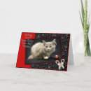 Search for animal rescue christmas cards Cat