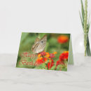Search for birthdaycards Happy birthday