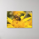 Search for honey bee canvas prints Animal