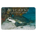 Search for under water magnets Ocean