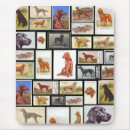 Search for sporting dog electronics Animal