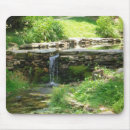 Search for summertime mouse mats Nature