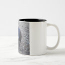Search for tasmanian mugs Cute