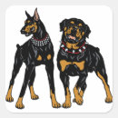 Search for mini doberman stickers Black