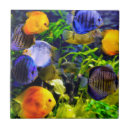 Search for aquatic tiles Sea