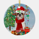 Search for shih tzu christmas tree decorations Animal