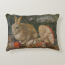 Search for rabbit cushions Antique