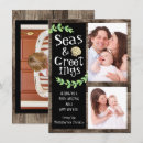 Search for shell on christmas cards Shells