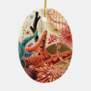 Search for coral reef christmas tree decorations Australia
