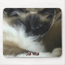 Search for birman cat Birmans