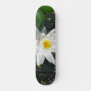 Search for lily skateboards Pond
