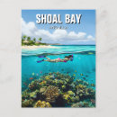 Search for shoals postcards Bay