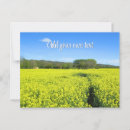 Search for bliss postcards Nature