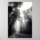 Search for view with trees posters Landscape