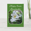 Search for grandmother easter cards Grandma