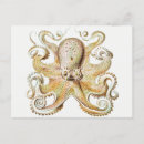 Search for mollusks postcards Animal