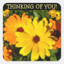 Search for marigold stickers Flowers