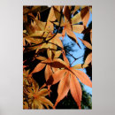 Search for maples posters Garden