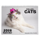 Search for funny animal calendars 2026