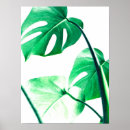 Search for monstera posters Leaves