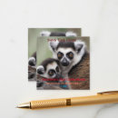 Search for primate invitations Baby