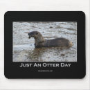 Search for animals binders Wildlife