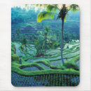 Search for lush green mouse mats Tropical