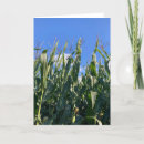 Search for stalk cards Nature