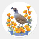 Search for california wildflower stickers Poppies