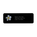 Search for plumeria return address labels Flower