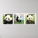 Search for savage posters Animal