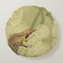 Search for dragonfly cushions Pond