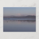 Search for soft postcards Sea