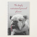 Search for satire office supplies Cute